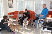 Enlarge photo 14