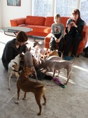 Enlarge photo 15