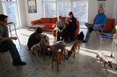 Enlarge photo 16