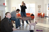 Enlarge photo 21