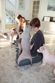 Enlarge photo 22