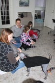 Enlarge photo 6