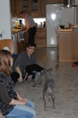 Enlarge photo 8
