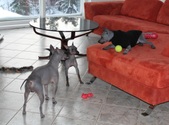 Enlarge photo 12