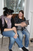 Enlarge photo 14