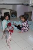 Enlarge photo 20