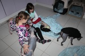 Enlarge photo 22