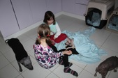 Enlarge photo 23