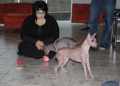 Enlarge photo 3
