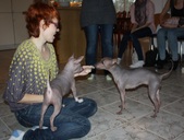 Enlarge photo 13