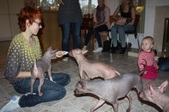 Enlarge photo 14