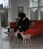 Enlarge photo 23