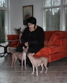 Enlarge photo 24