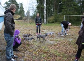 Enlarge photo 6