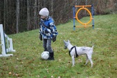 Enlarge photo 10