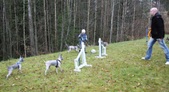 Enlarge photo 13