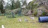 Enlarge photo 14