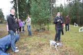 Enlarge photo 16