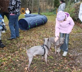 Enlarge photo 17