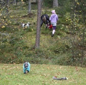 Enlarge photo 2