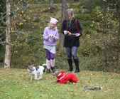 Enlarge photo 3