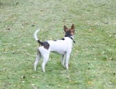 Enlarge photo 6