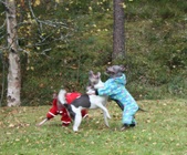 Enlarge photo 9
