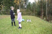 Enlarge photo 13