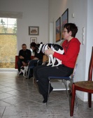 Enlarge photo 15