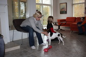 Enlarge photo 17