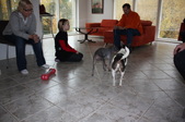 Enlarge photo 18