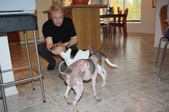 Enlarge photo 19