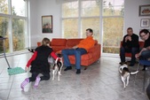 Enlarge photo 21