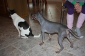 Enlarge photo 22