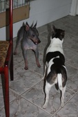 Enlarge photo 23