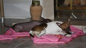 Enlarge photo 14