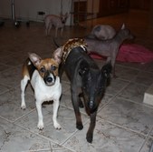 Enlarge photo 8