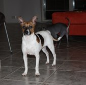 Enlarge photo 10