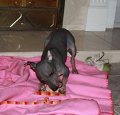 Enlarge photo 17