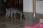 Enlarge photo 15