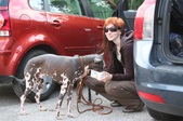 Enlarge photo 10