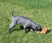 Enlarge photo 22