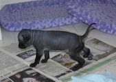 Enlarge photo 12