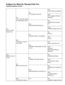 Enlarge HTML Document 12