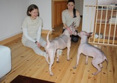 Enlarge photo 11