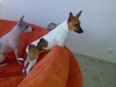 Enlarge photo 4