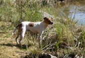 Enlarge photo 22