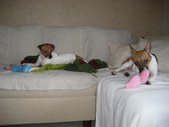 Enlarge photo 8