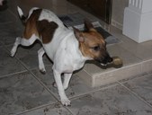 Enlarge photo 7