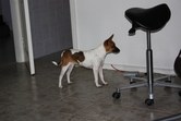 Enlarge photo 6